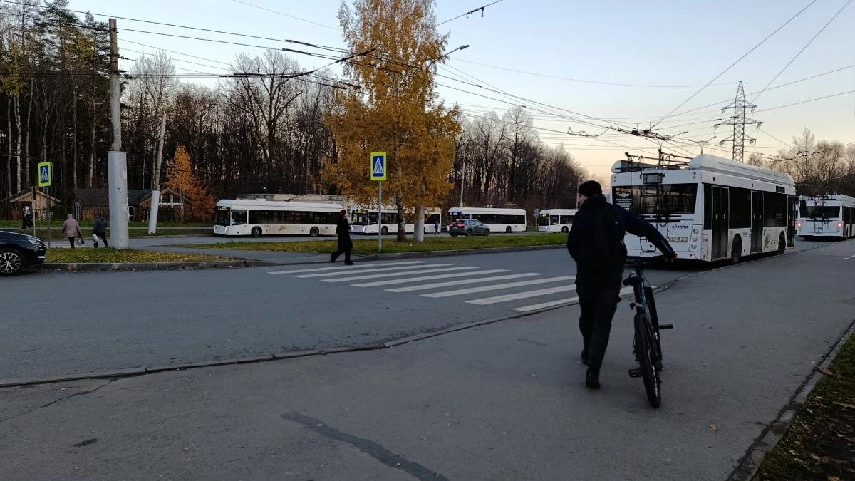 Хватит тормозить перед каждым пешеходом: Верховный суд разъяснил новые правила проезда через зебру
