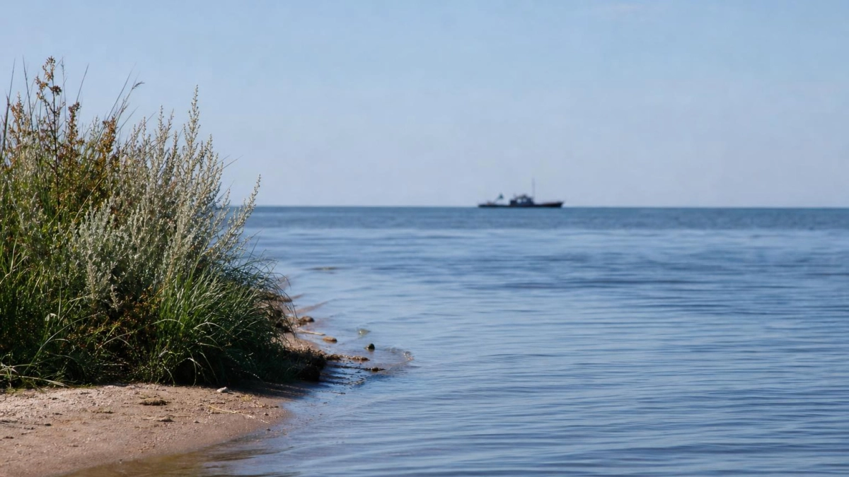 В Таганрогском заливе прекратился замор рыбы после охлаждения воды