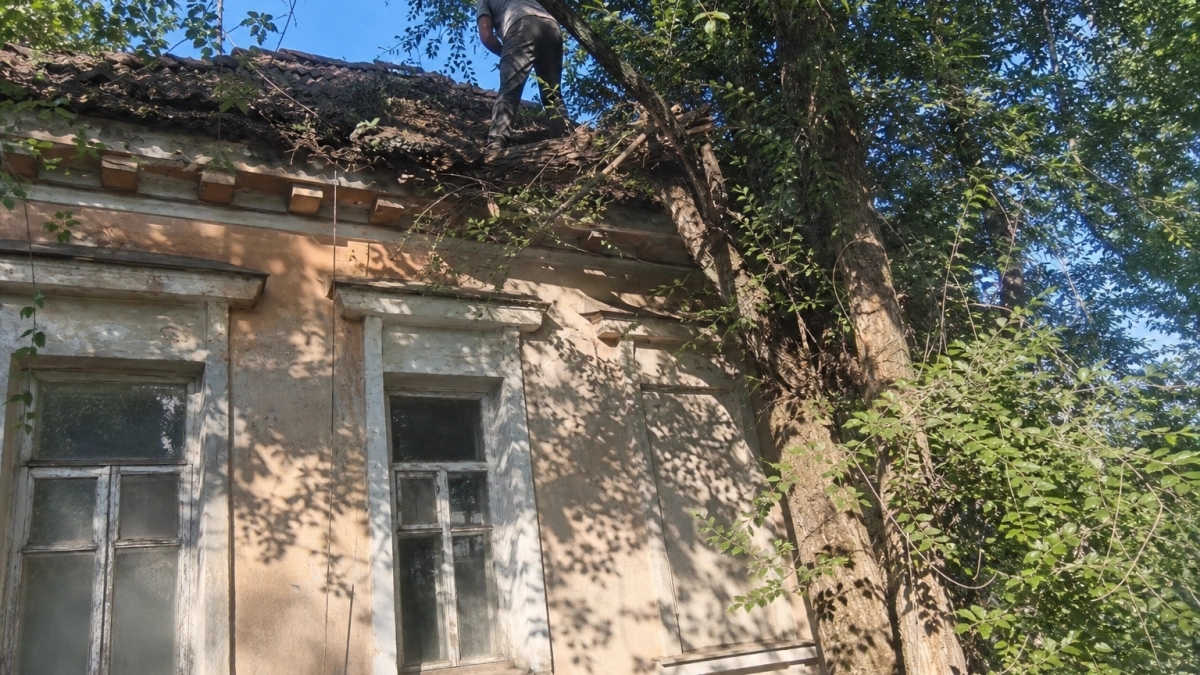 В Новочеркасске дерево два месяца остается на крыше дома после урагана