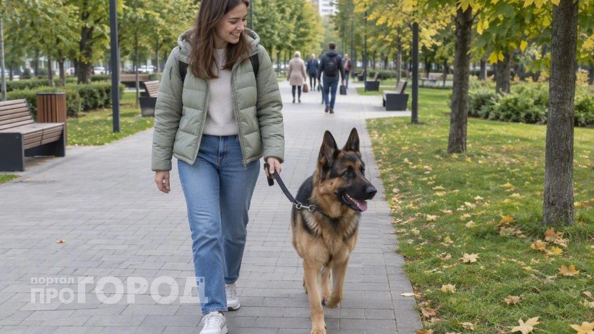 Ваша идеальная порода по знаку зодиака: узнайте прямо сейчас, какой четвероногий друг станет вам парой