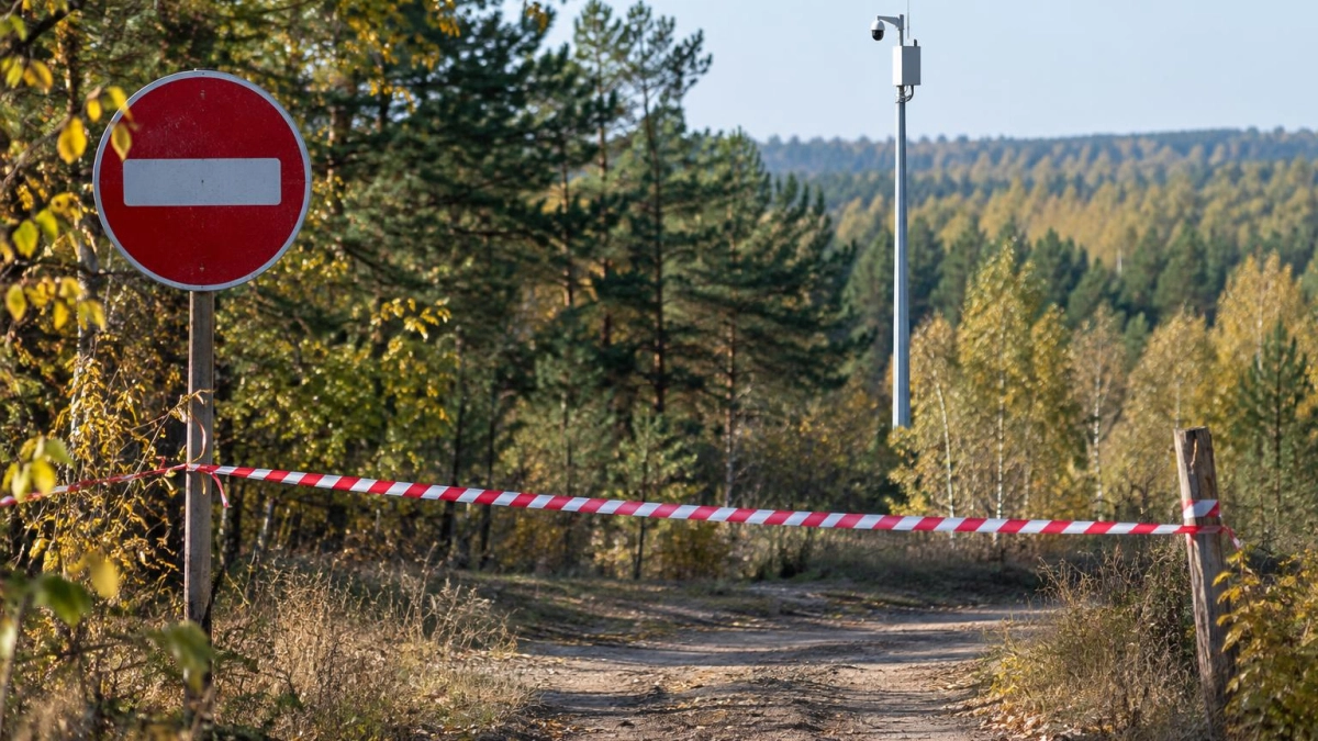 В Ростовской области до 15 октября продлили ограничение на посещение лесов