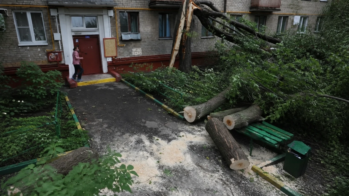 Во время субботника в Ростове вывезли 140 тонн отходов