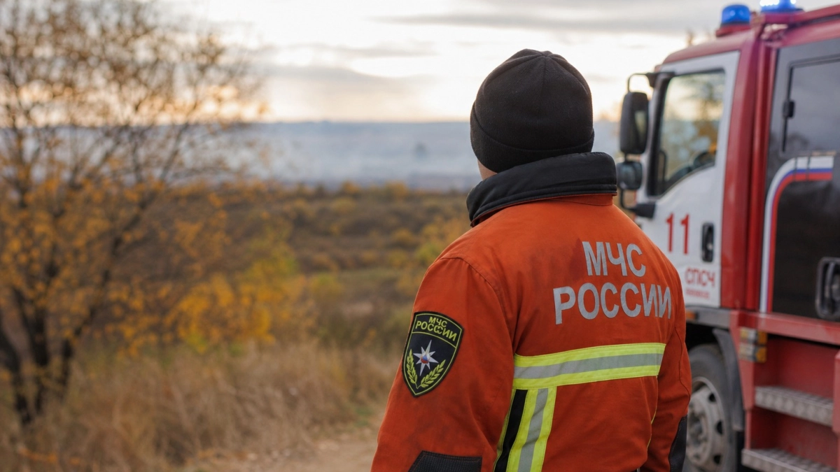 В Ростовской области за сутки потушили 11 техногенных пожаров и пять ландшафтных