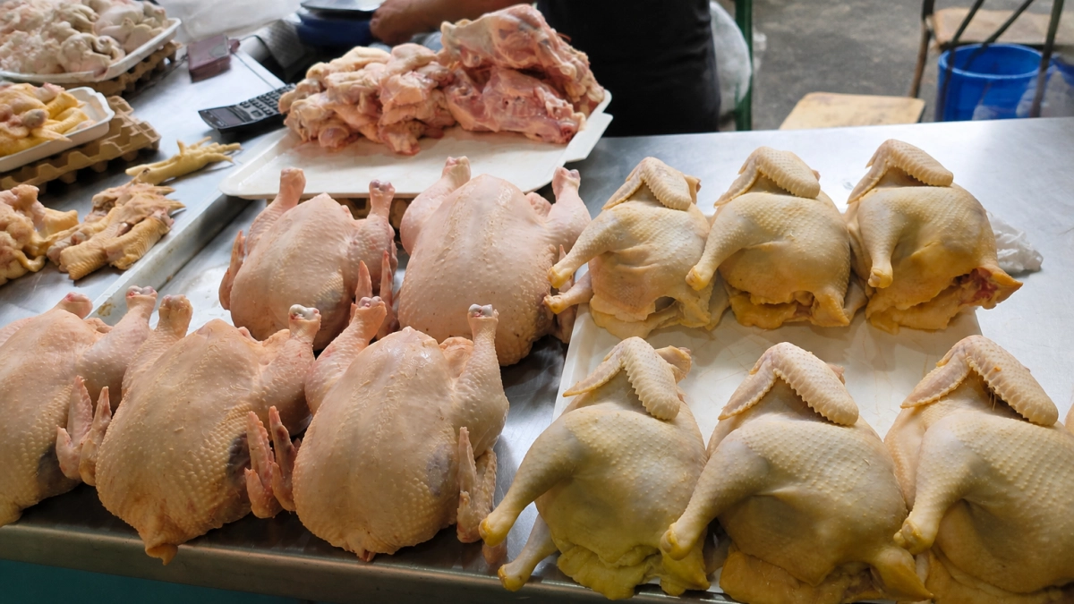 В Ростове куриное мясо подорожало до 550 рублей за килограмм