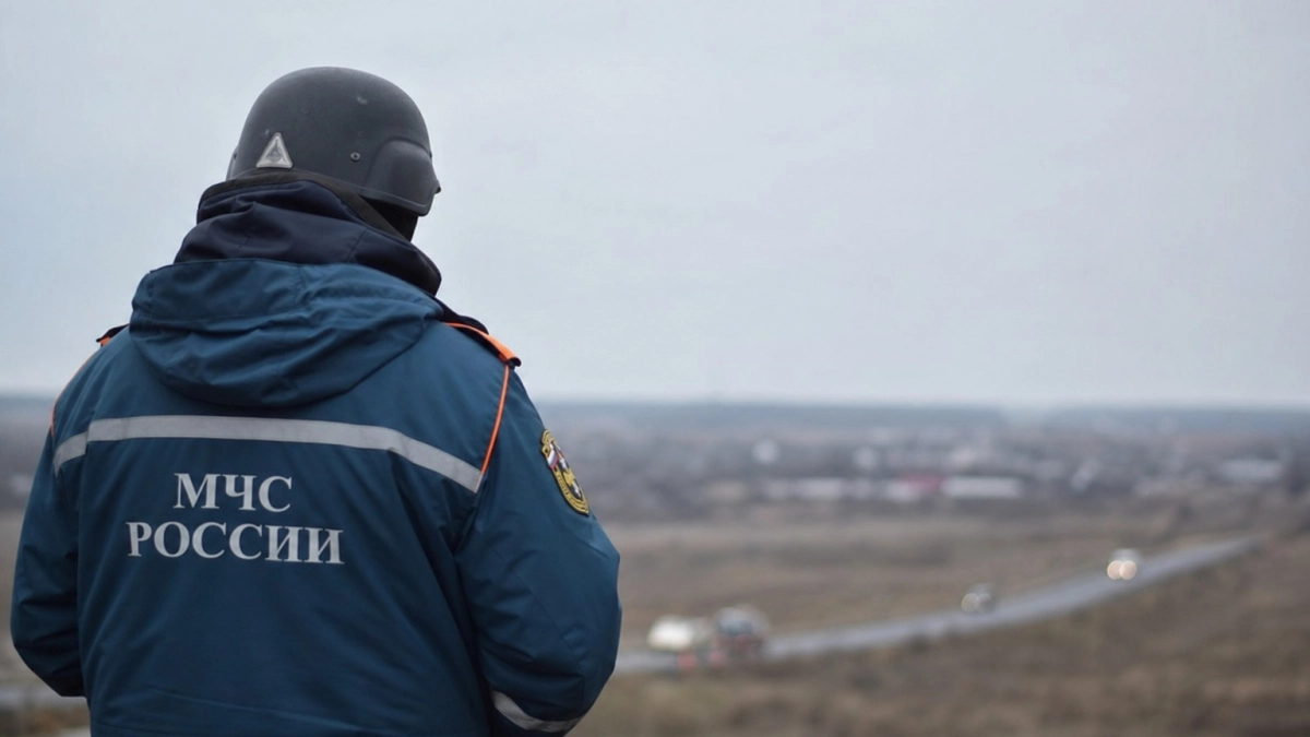 В Ростовской области за ночь сбили около 50 беспилотников: ПВО отразила массированную атаку