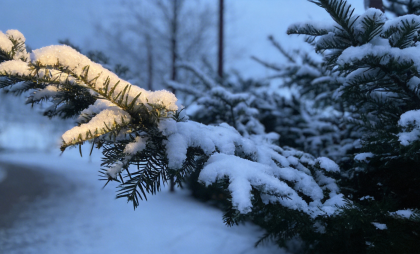 До 5000 рублей штрафа за сброс снега: юрист раскрыла зимние ловушки для дачников Ростовской области