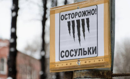 Гололед отступает: травматизм в Ростове-на-Дону снизился на треть благодаря мониторингу