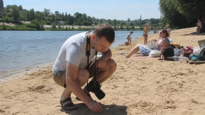Ядовитый жук томкат замечен на пляже в Цимлянске
